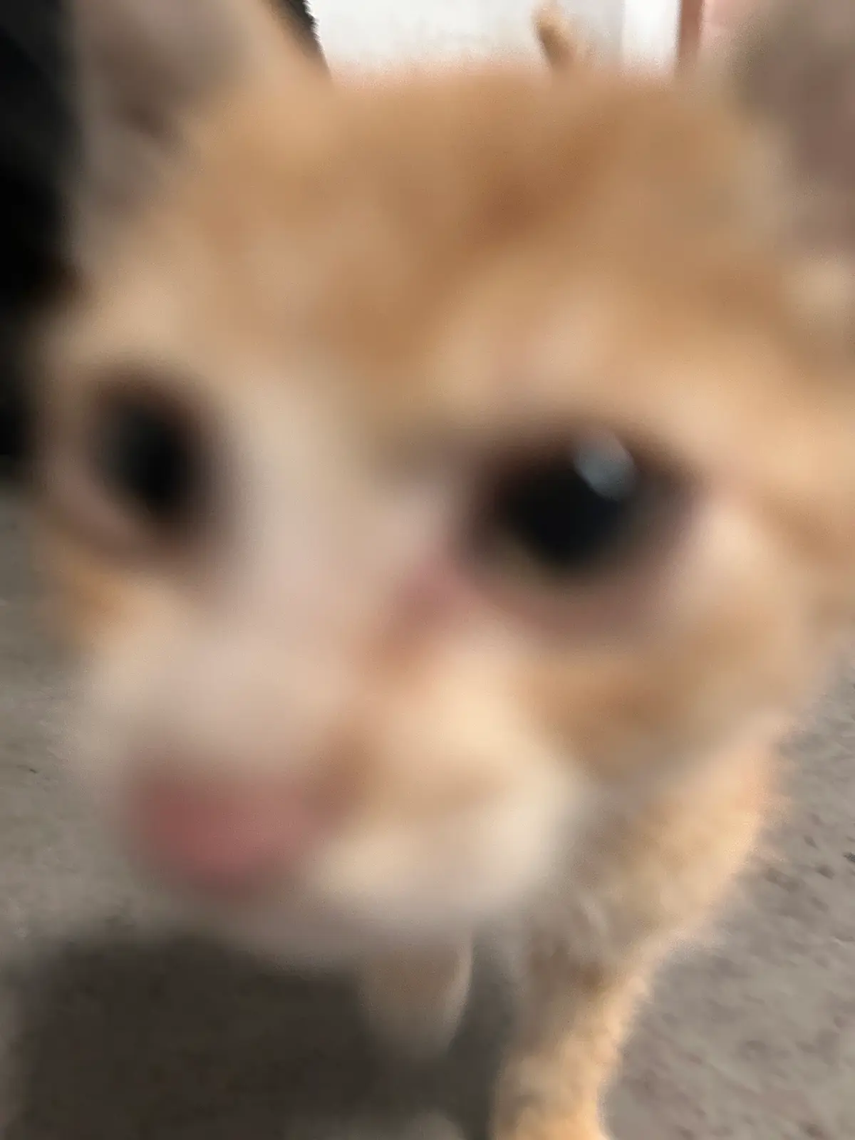 好近