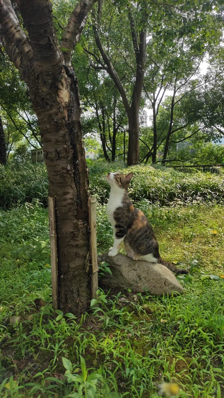 看到大松鼠🐿️