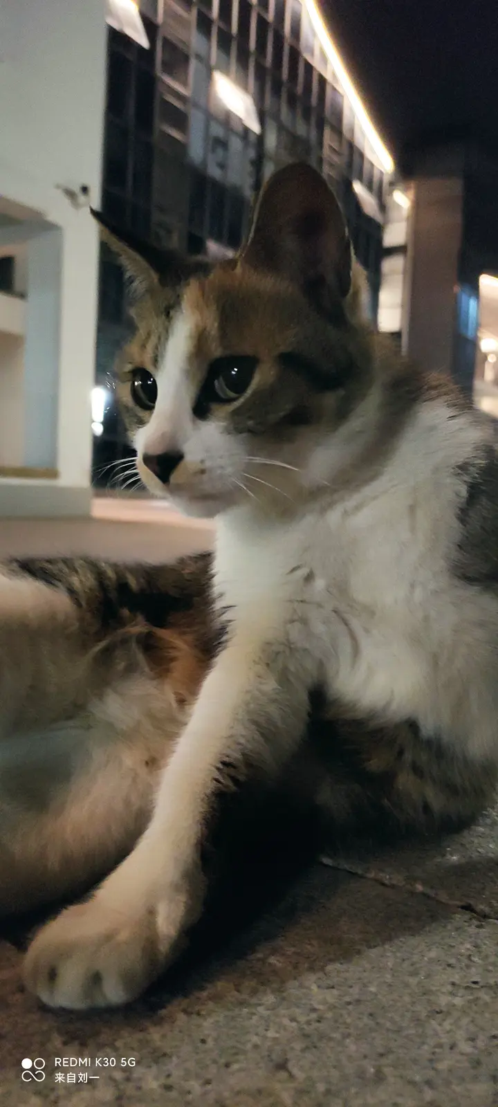 浓颜美