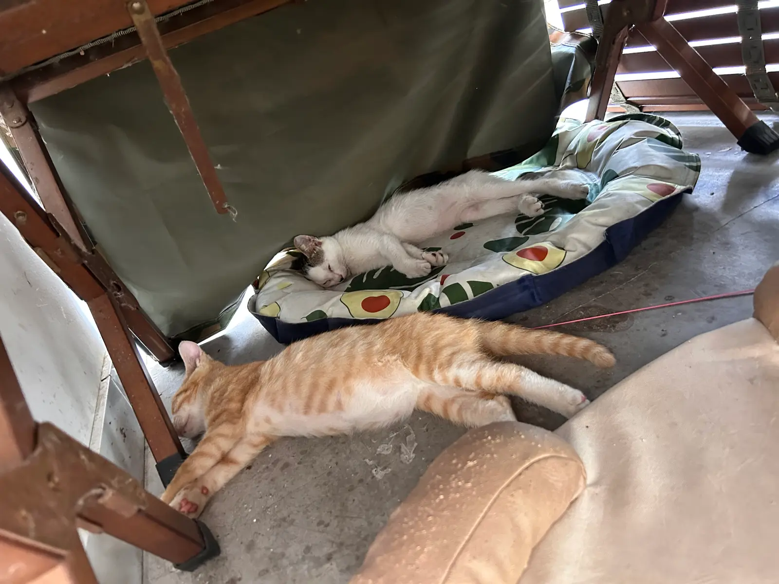 和橘睡在台风小屋里～
