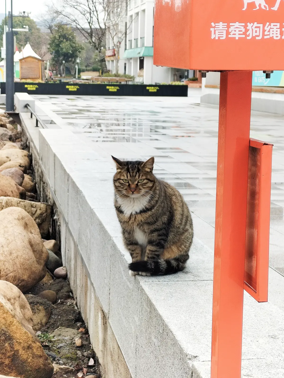 dn怂猫
