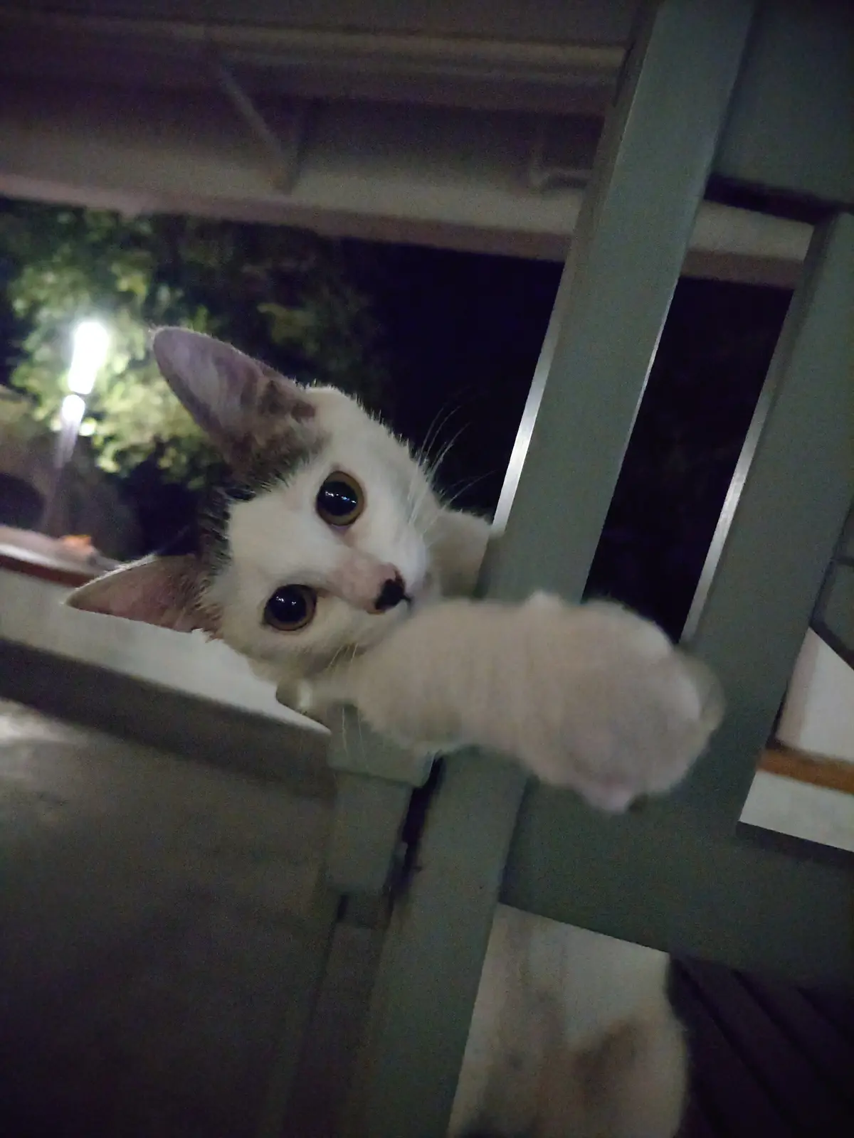 可爱😊