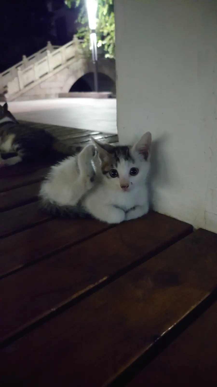 小满