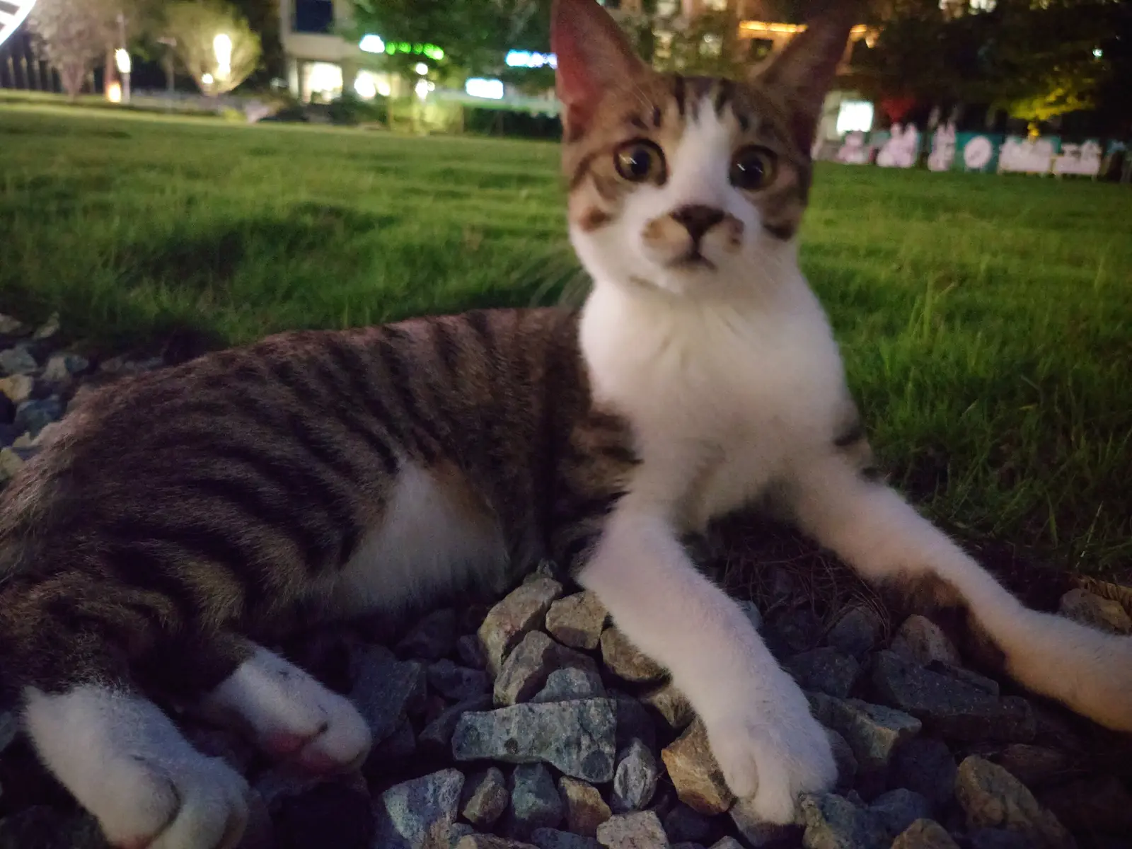 你一拍，我惊讶