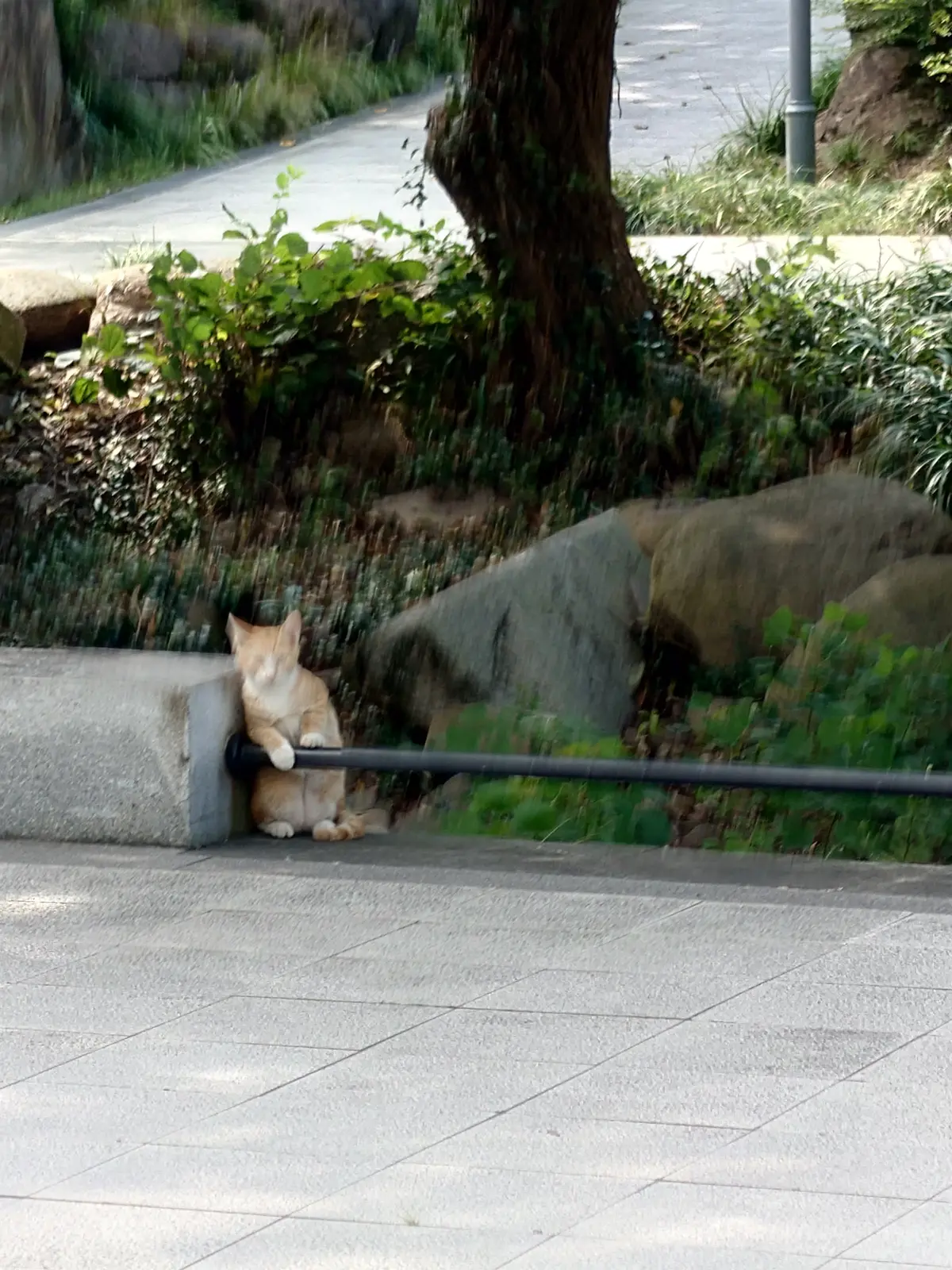 看热闹